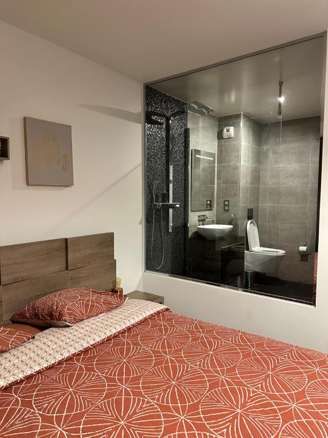 Magnifique Loft - Hyper Centre Annemasse Exterior photo